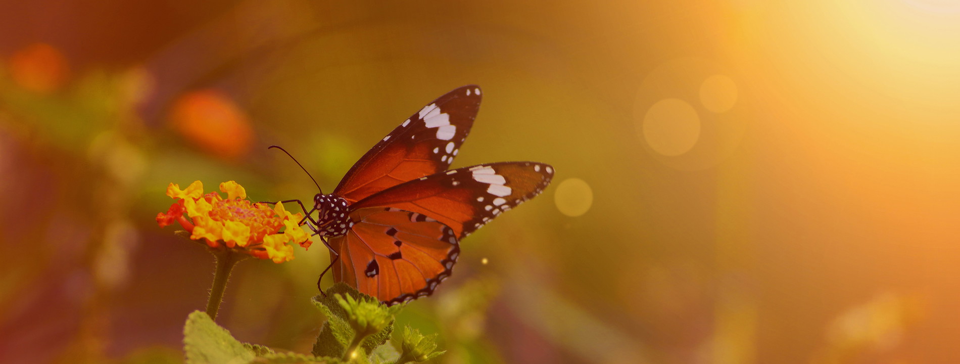 New Charity Partners: Oregon Zoo & More