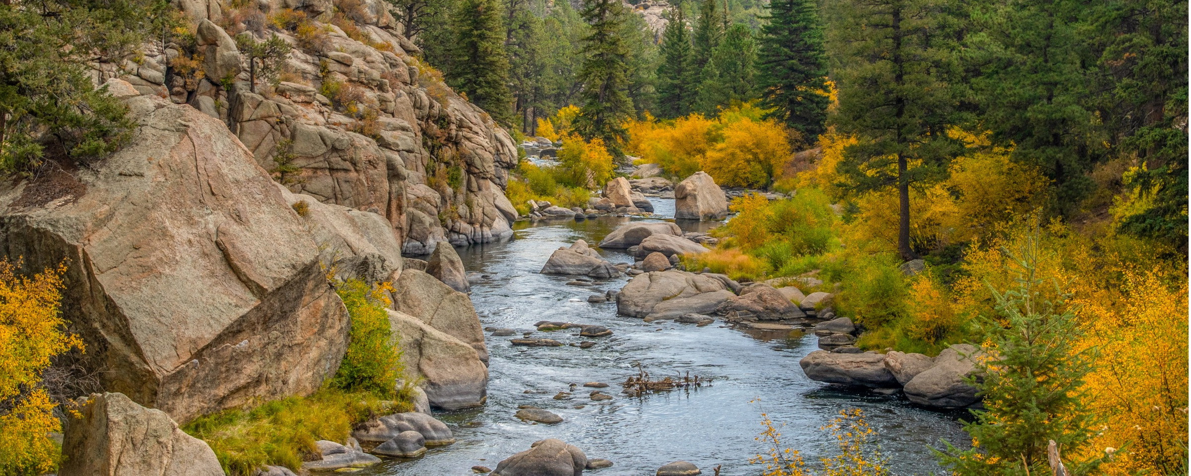 Best Whitewater Rafting Trips in Colorado