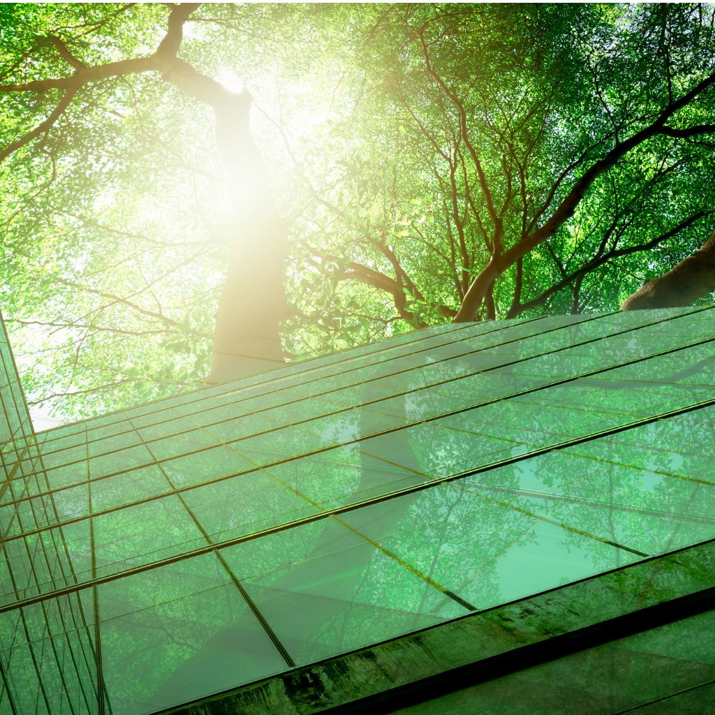 Easy Ways to Lower Your Carbon Footprint