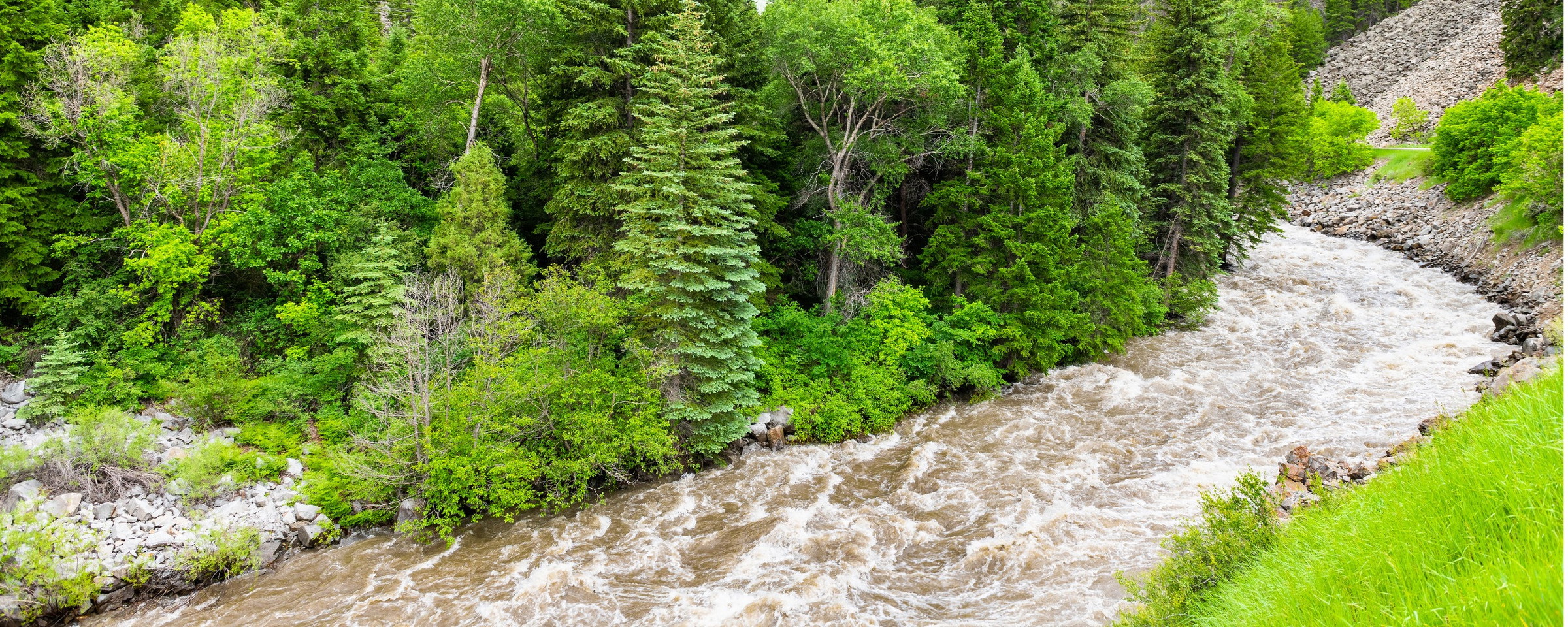 Best Water Activities in Colorado for Summer