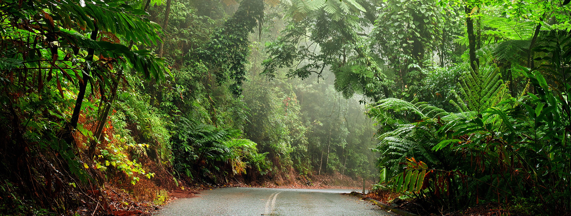 Affordable Honeymoon in Australia & Asia