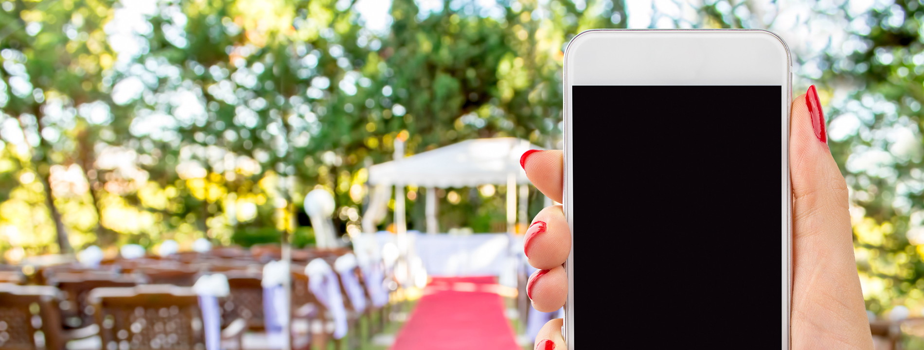 Wedding Guest Etiquette: An Open Letter