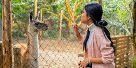 Animal Encounters