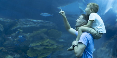 Aquariums