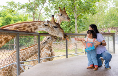 Zoo