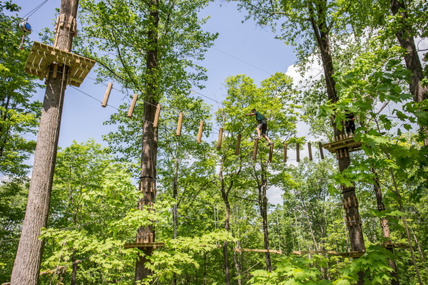 TreEscape Aerial Adventure Park