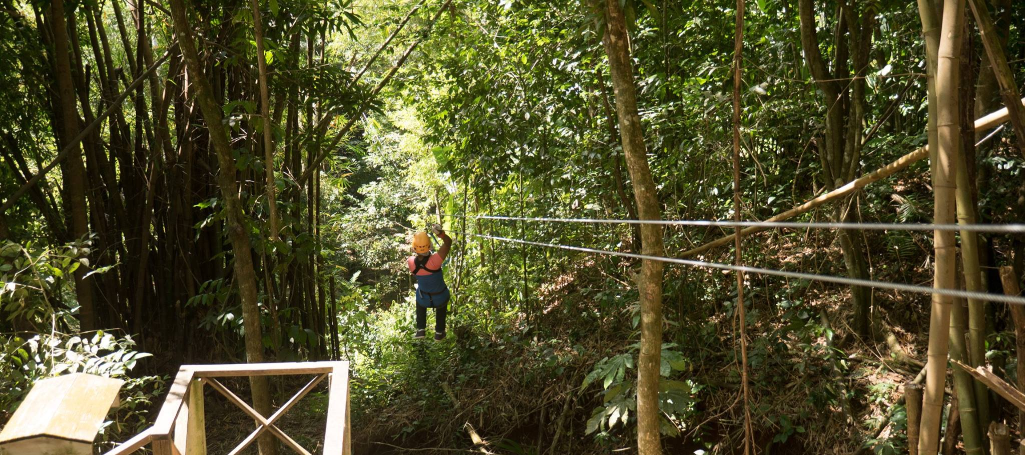 Treetop Canopy Adventure Zipline
