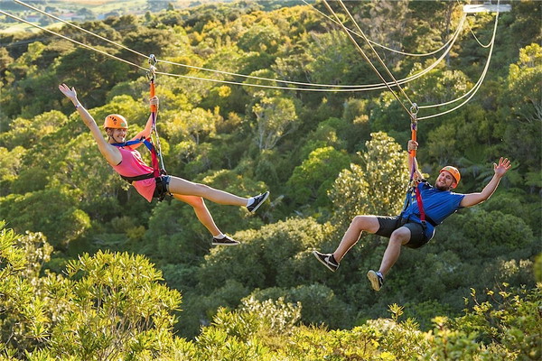 Waiheke Island Zipline and Native Forest Adventure