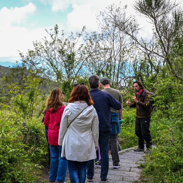 Small-Group Pompeii and Vesuvius Tour with Wine and Lunch