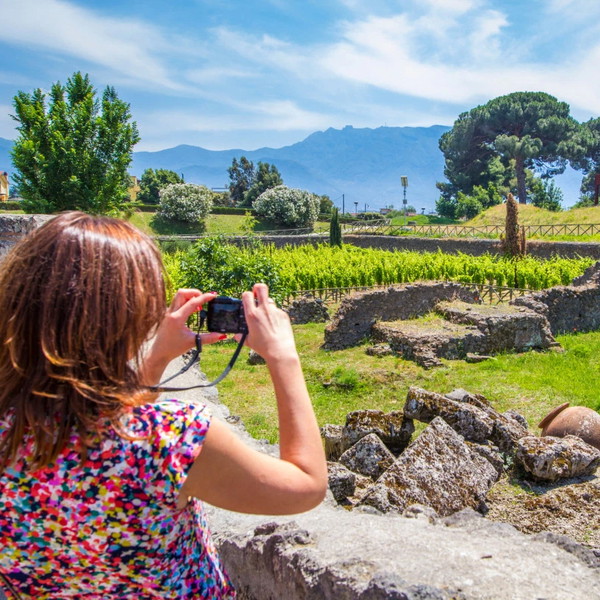 Sorrento and Pompeii Semi-Private Tour with Limoncello