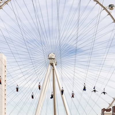 Fly LINQ Zipline Tickets