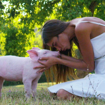 Gifts for Animal Lovers