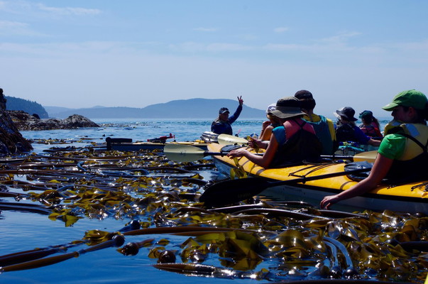 Lummi Island Kayak Trip