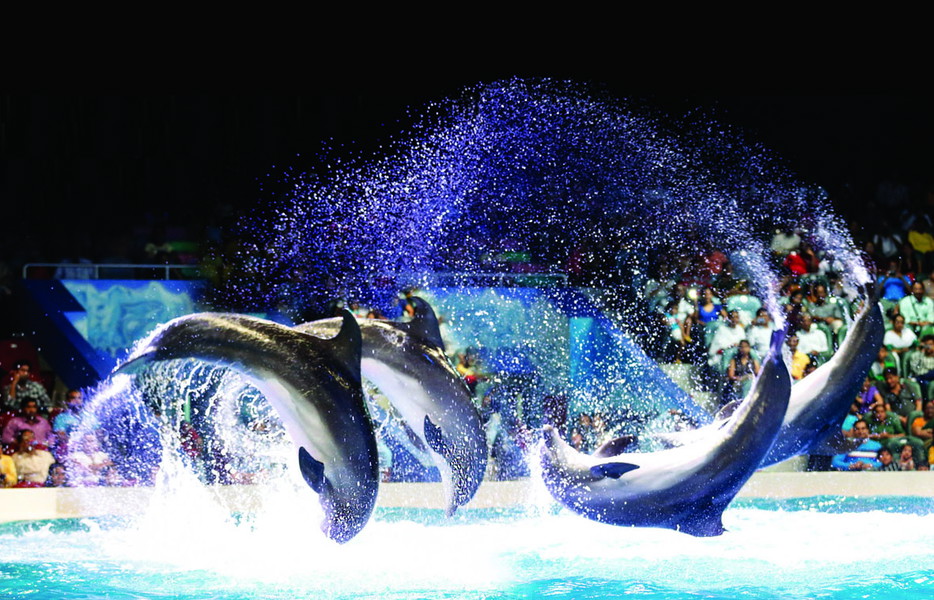 Experience Image