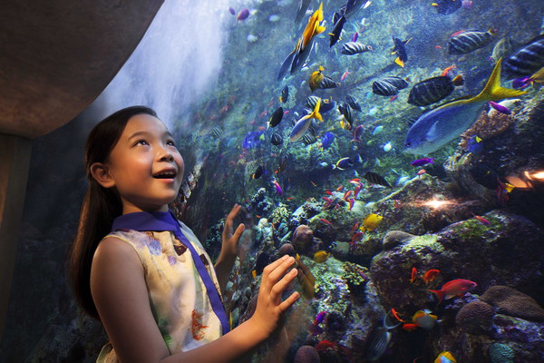 Aquaventure Waterpark + Lost Chambers Aquarium