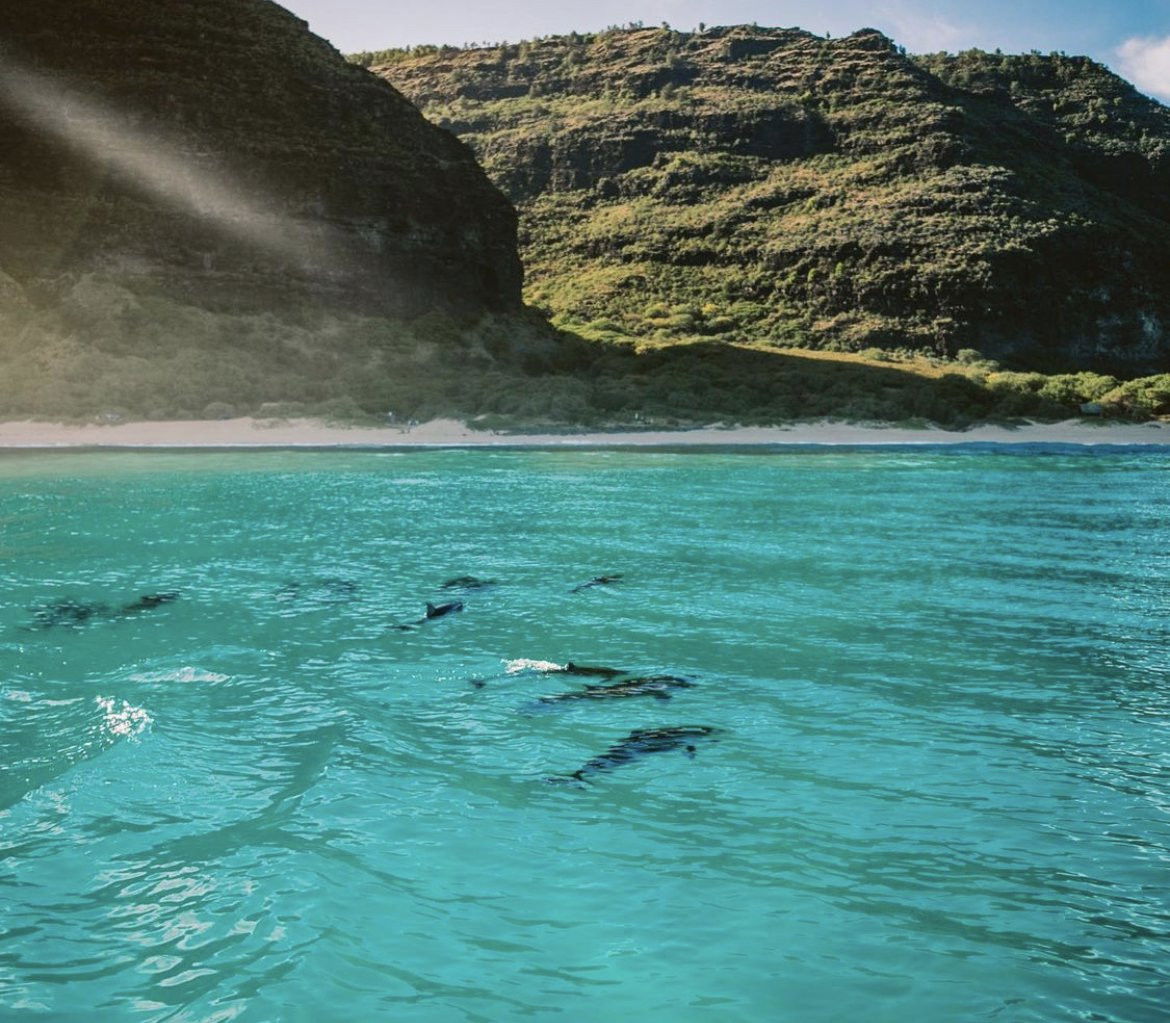 Napali Coast Hiking Tour