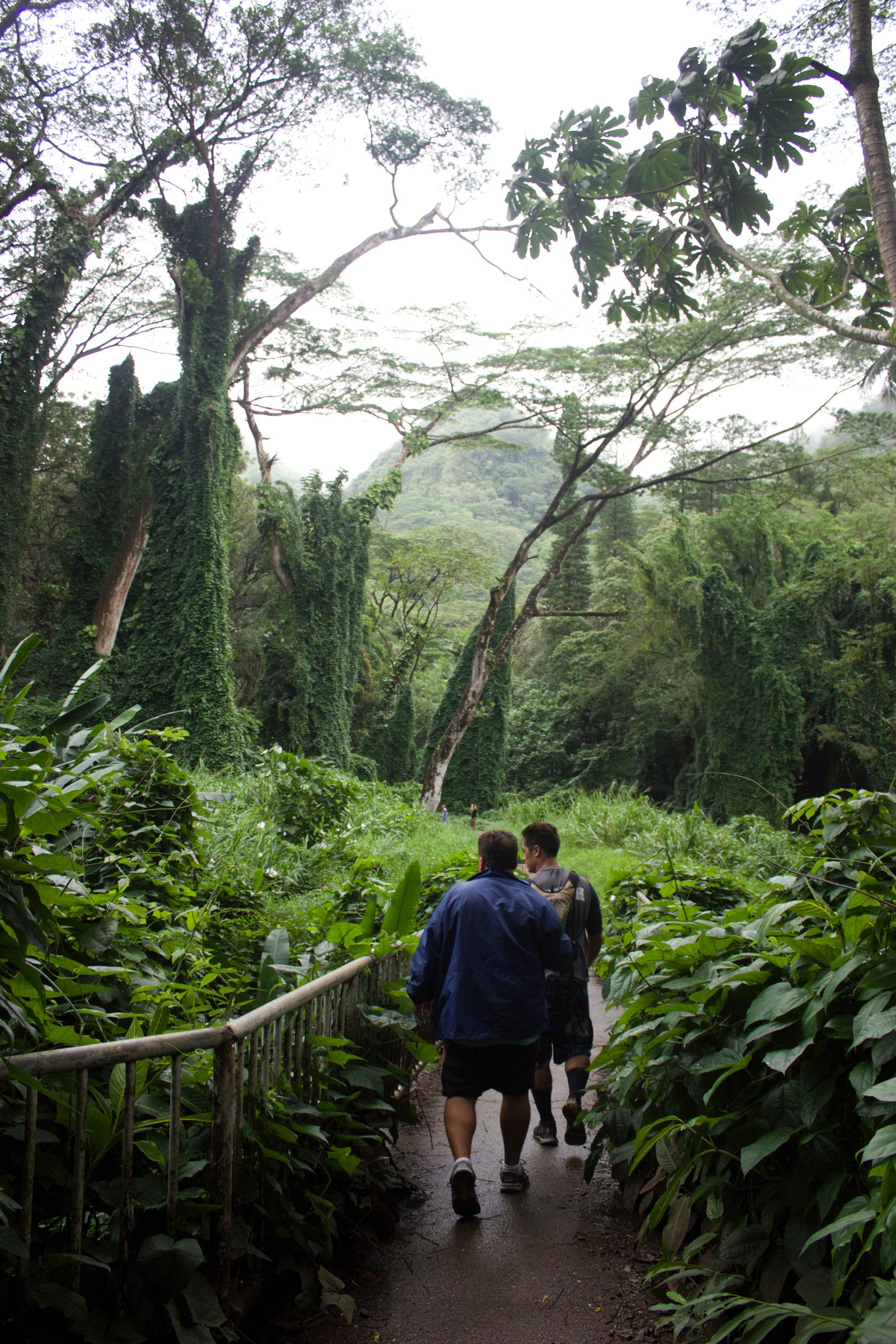 Diamond Head  and Manoa Falls Tour
