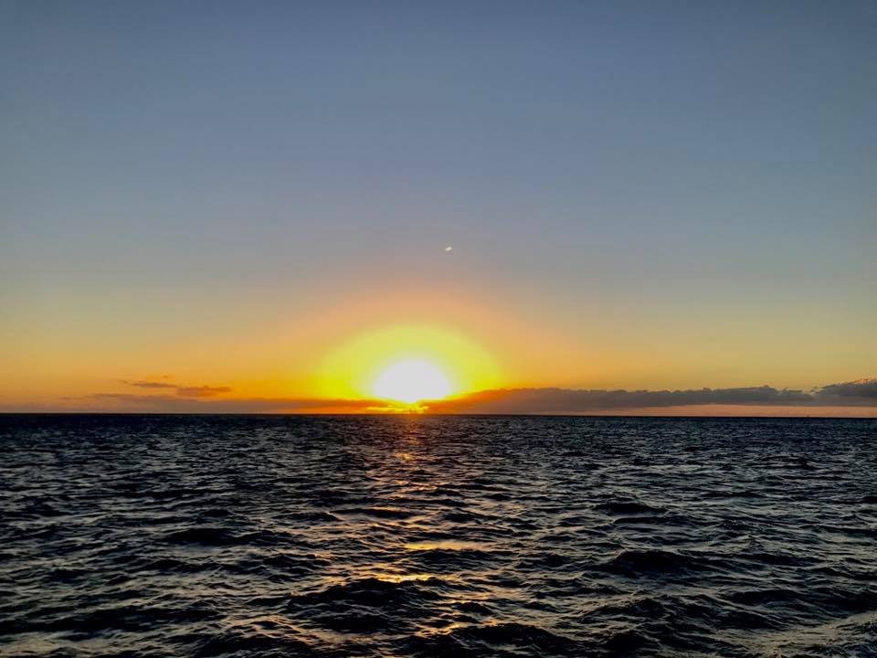 Waikiki Fireworks Cruise