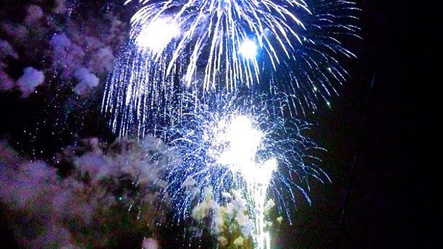 Waikiki Fireworks Cruise
