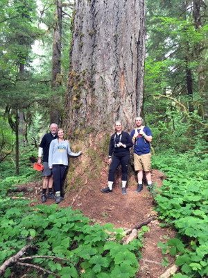 Mt. St. Helens Adventure Tour