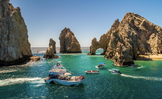 Pelican Cruise Los Cabos