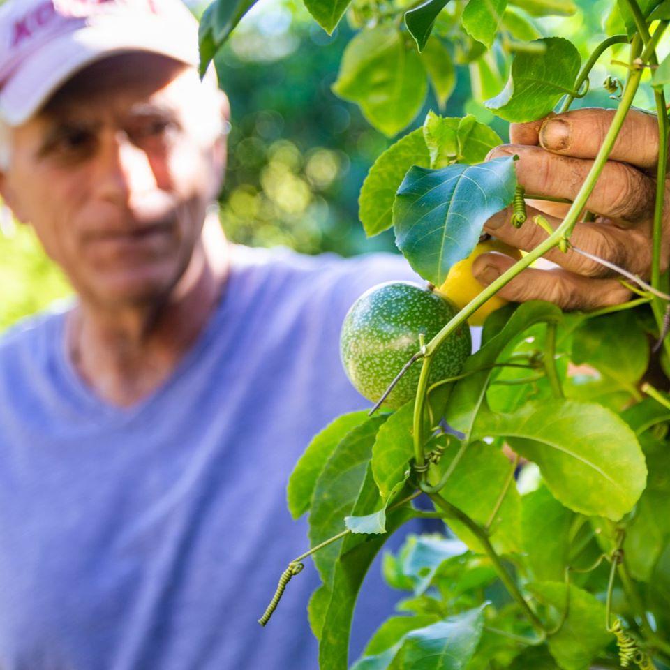 Big Island Hawaii Farm Tour