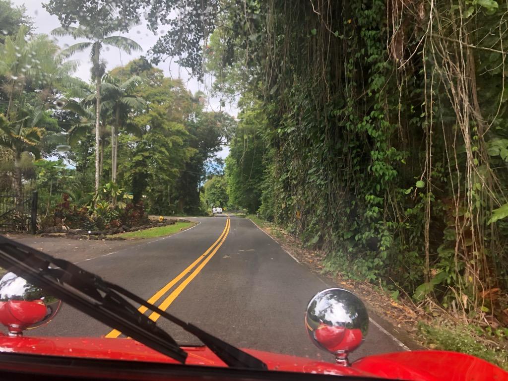 Kona Buggy Car Rental