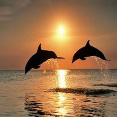 Private Sunset Cruise to Secret Beach