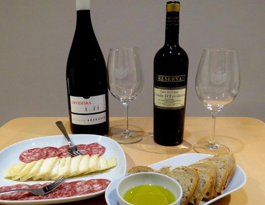 Private Evora Wine Tour with Tickets and Tastings