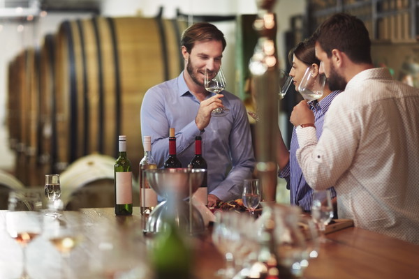 Full-Day North Georgia Wine Country Tour