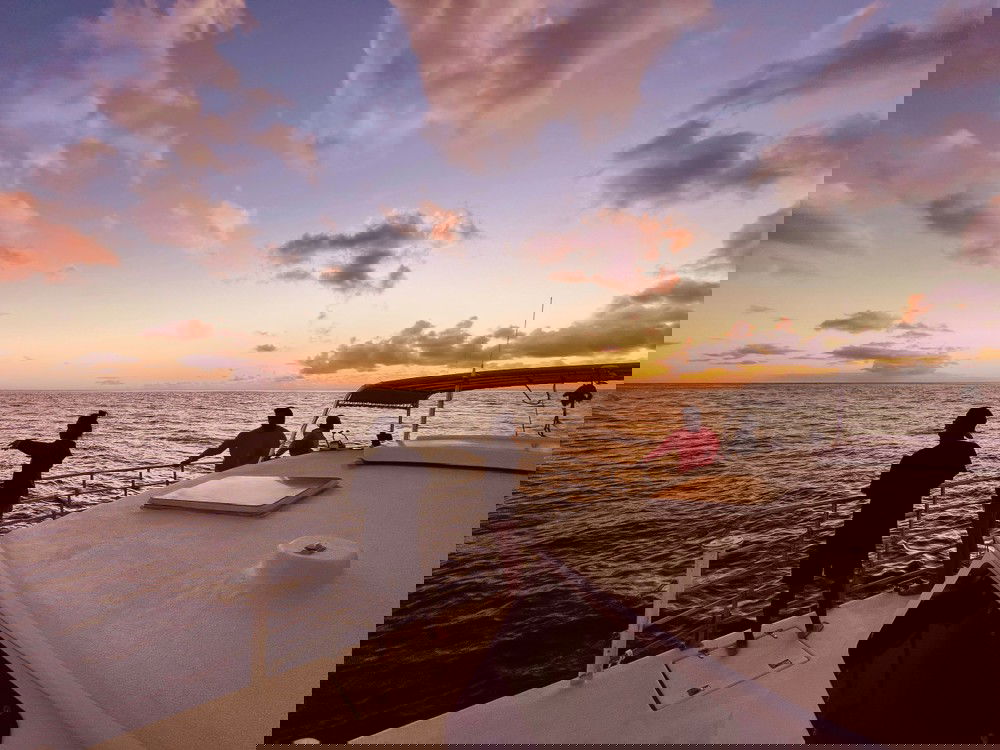 Oahu Whale Watching and Sunset Cruise