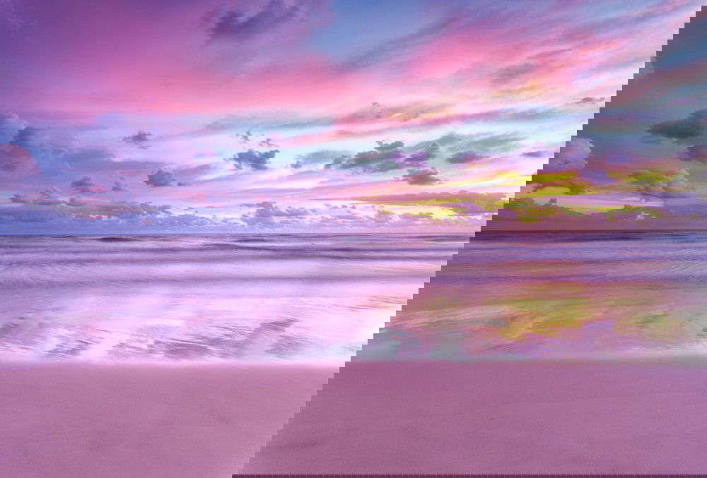 Oahu Whale Watching and Sunset Cruise