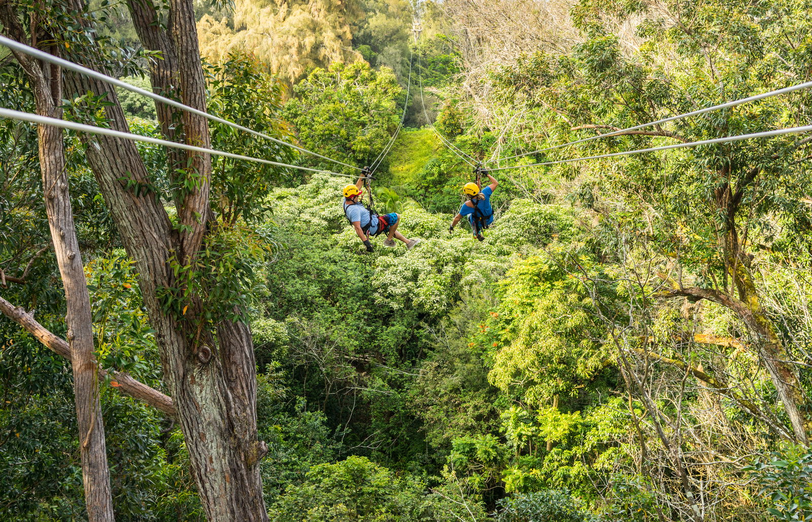 Big Island Zip Line Tour