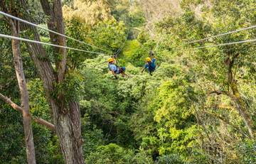 Kohala Zipline Adventure