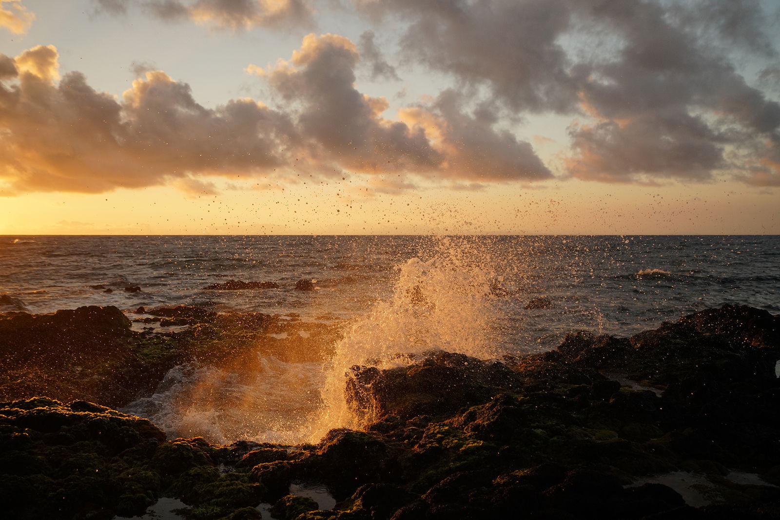 Honolulu Photography Tour