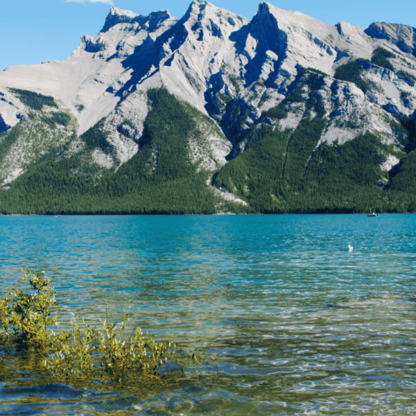 Experience Image