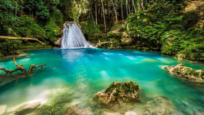 Blue Hole Secret Falls Adventure from Montego Bay