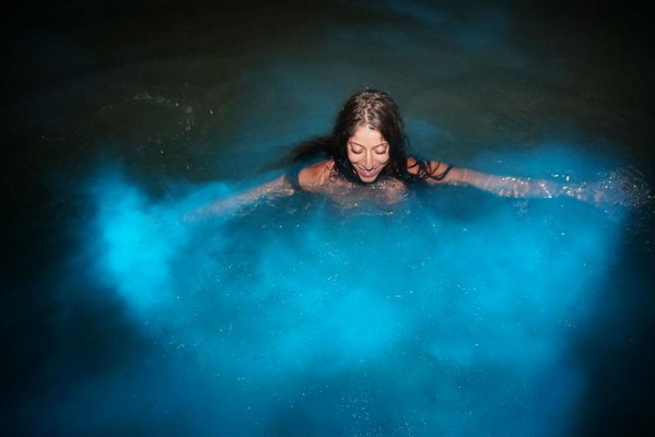 Luminous Lagoon Boat Tour