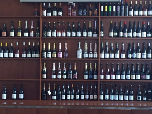 Intro To Wine