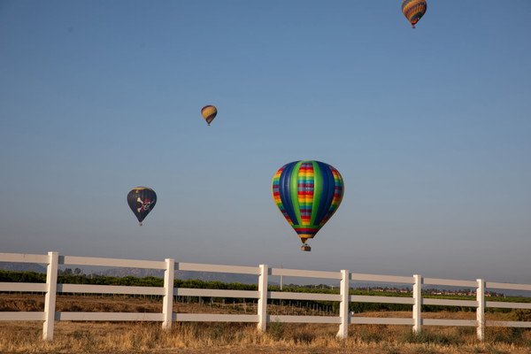 Temecula Sunrise Balloon Ride