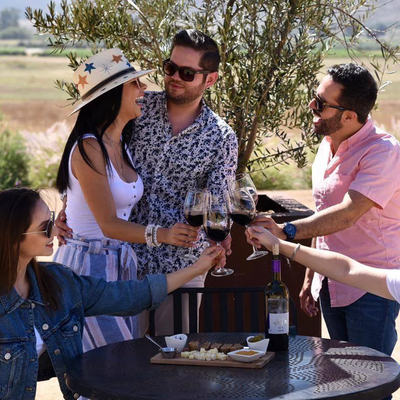 5 Wine Tastings and Winery Tour