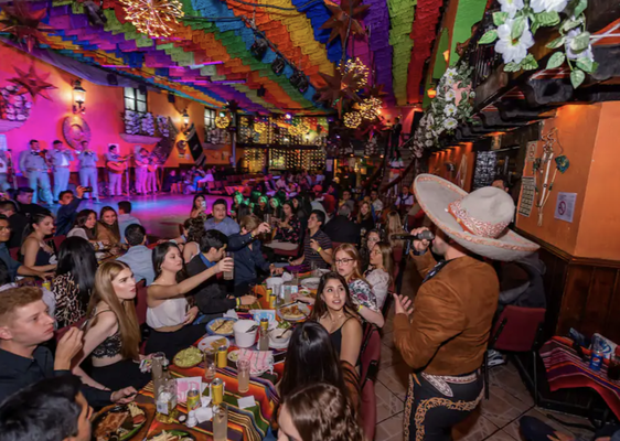 Taco Night and Mariachi Show at Garibaldi  PickUp - DropOff