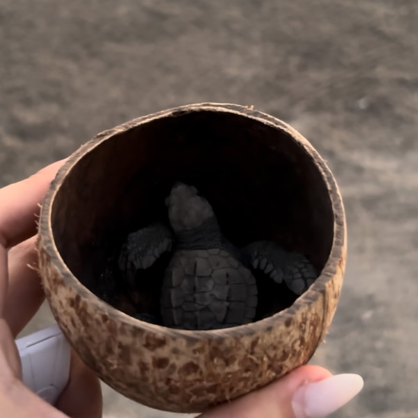Experience Image