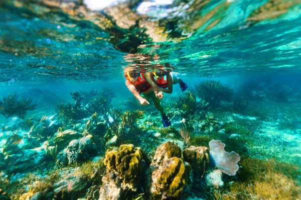 Snorkel in America's Largest Reef and Visit 3 Hidden Cenotes