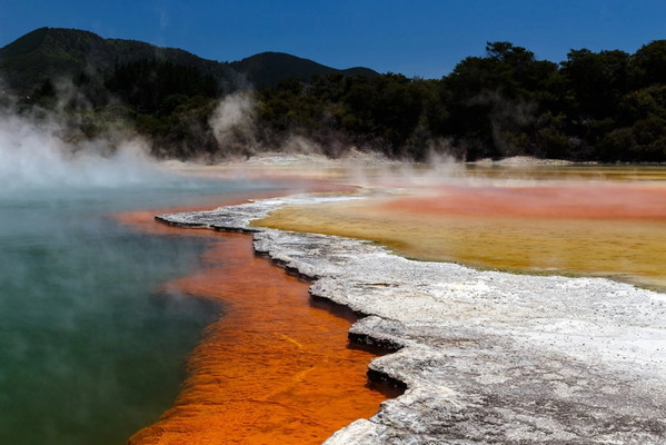 Rotorua Tour with Te Puia and Wai-O-Tapu