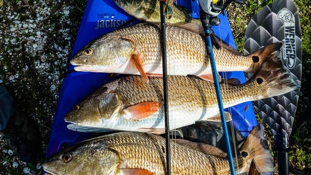 Inshore Kayak Fishing