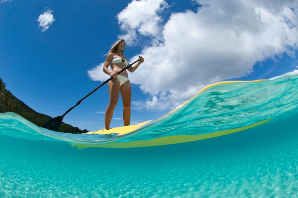 Mangrove Lagoon SUP and Snorkel Tour