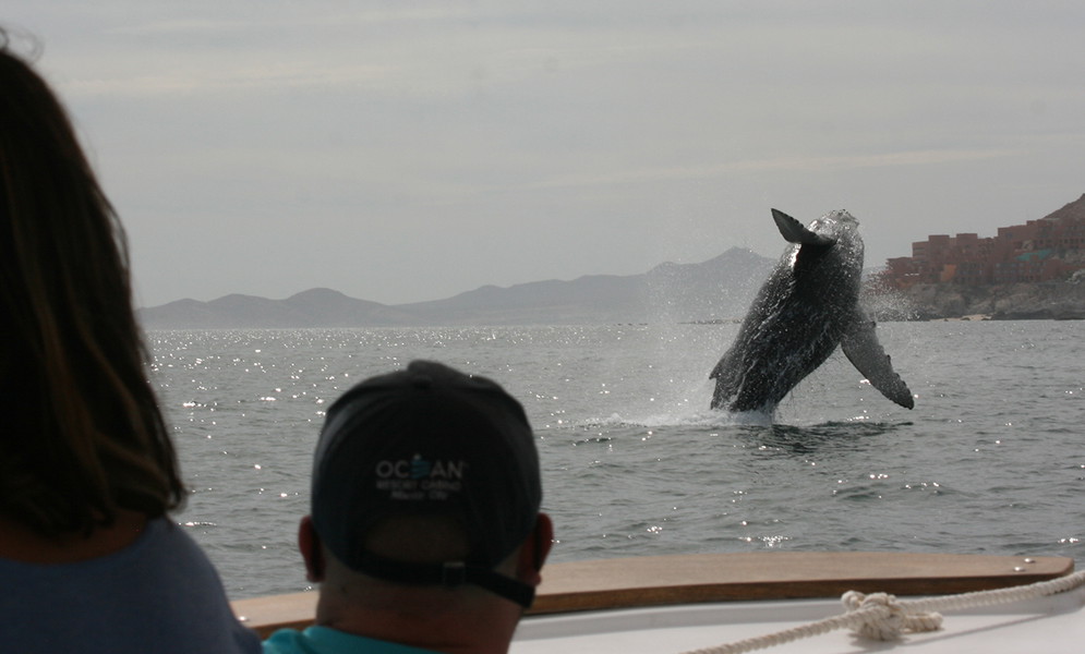 Experience Image