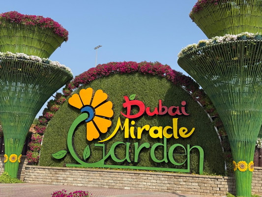 Miracle Garden Global Village Ticket with Transportation