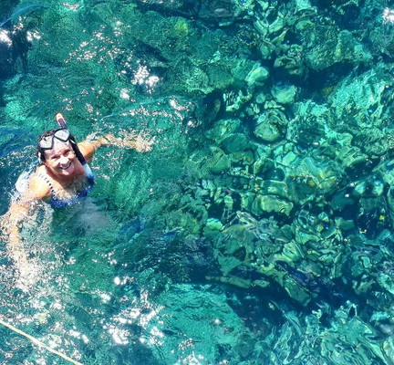 Glass Bottom Boat and Tobago Highlights Tour